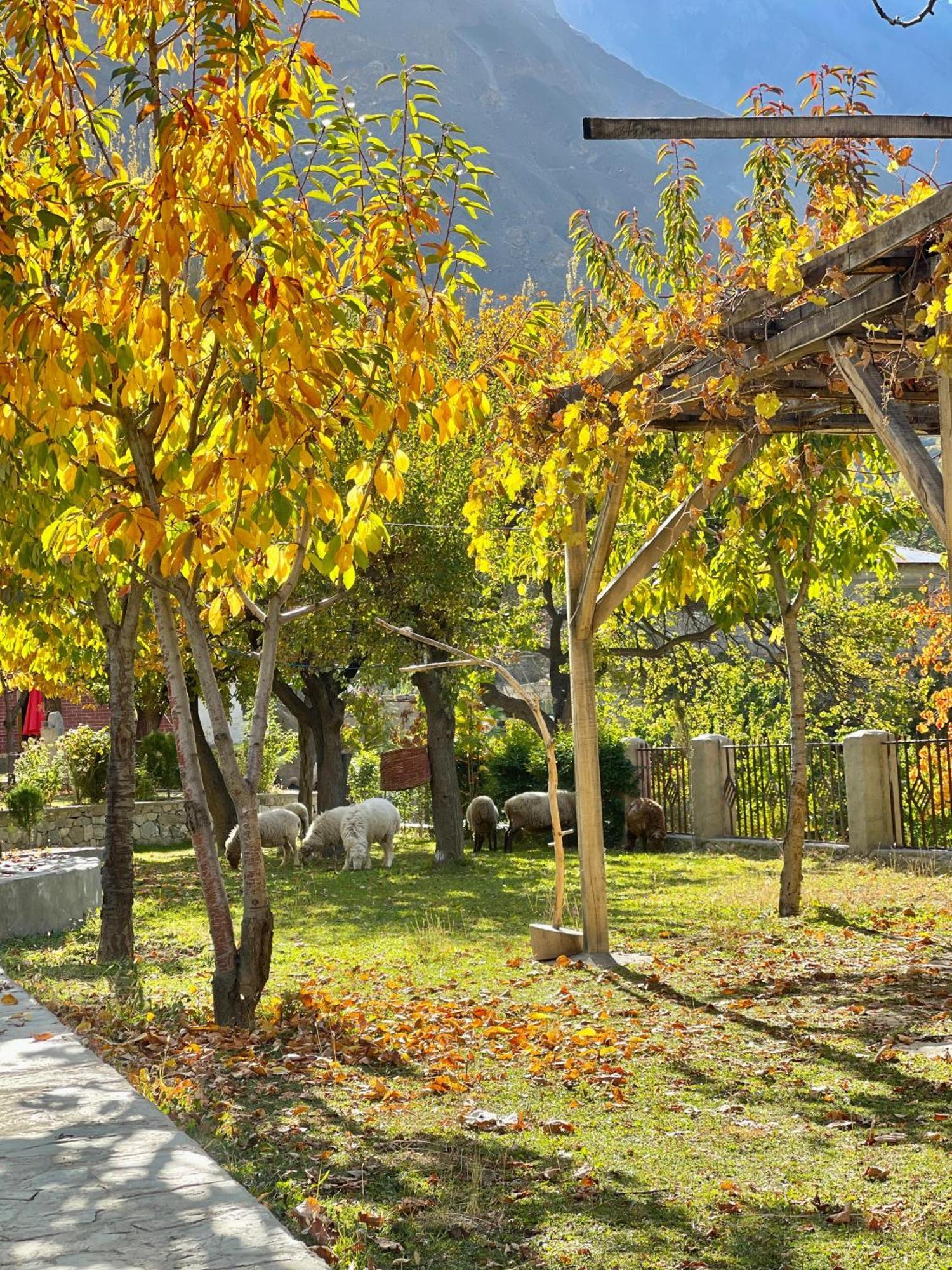 Dumani Nagar Hotel & Resort Karimabad  Εξωτερικό φωτογραφία