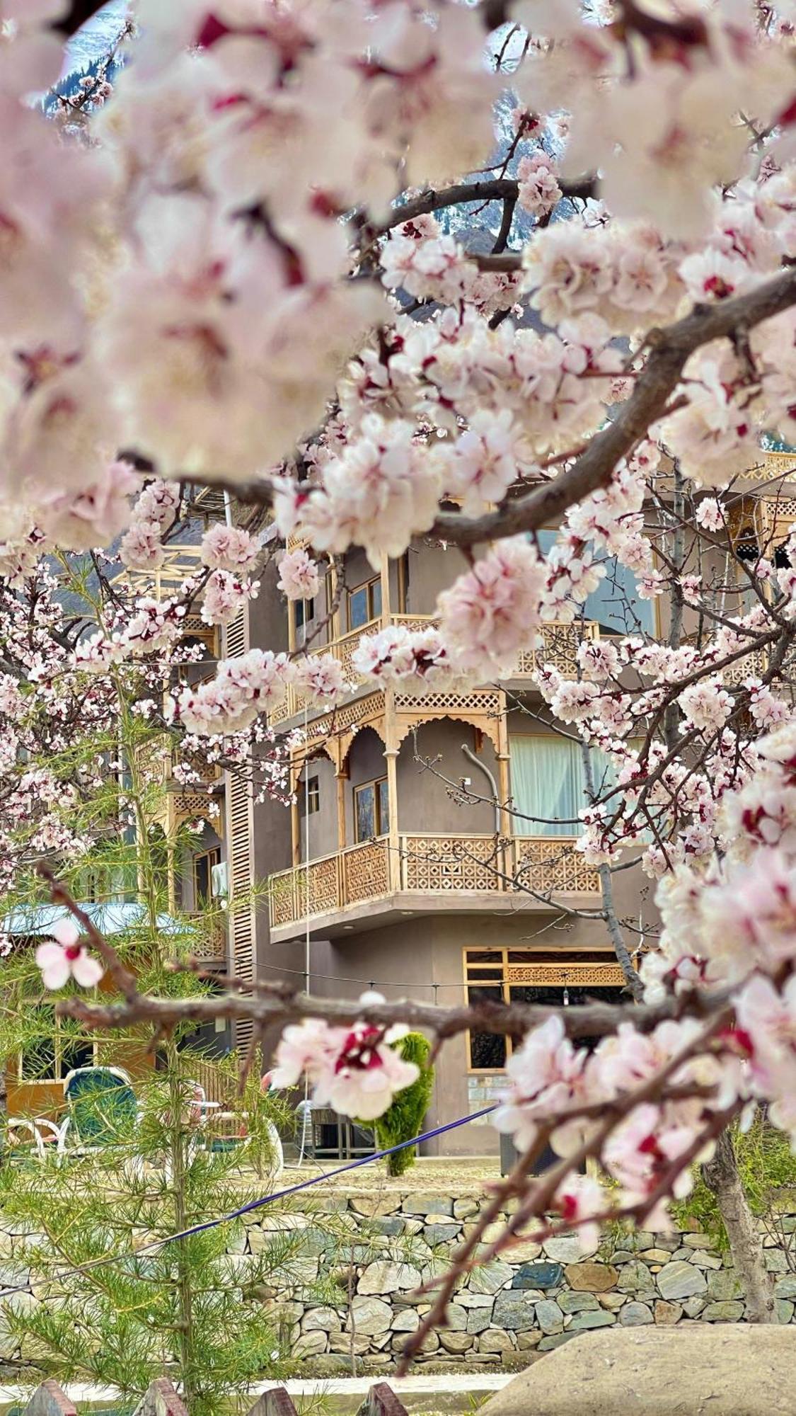 Dumani Nagar Hotel & Resort Karimabad  Εξωτερικό φωτογραφία