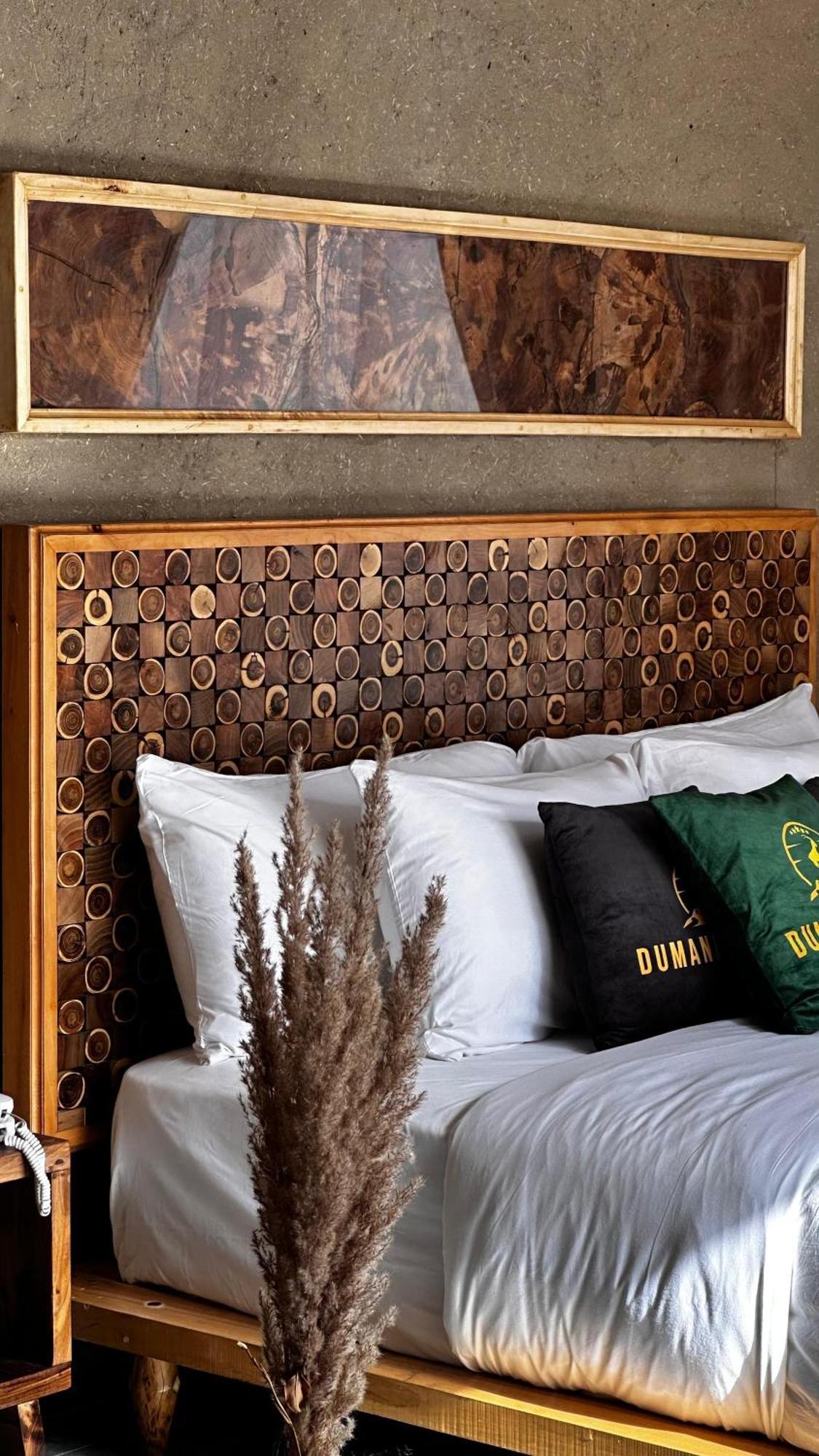Dumani Nagar Hotel & Resort Karimabad  Εξωτερικό φωτογραφία